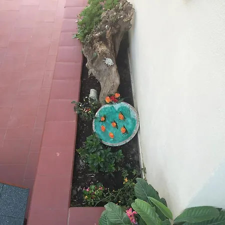 Πανσιόν Clea's House
